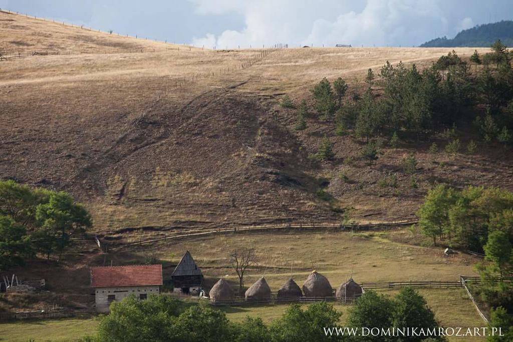 Апартаменты Camp Viljamovka Kremna Экстерьер фото